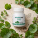 Brahmi Extract Tablets – 500 mg - Navchetana Kendra Health Care Pvt Ltd - product_type