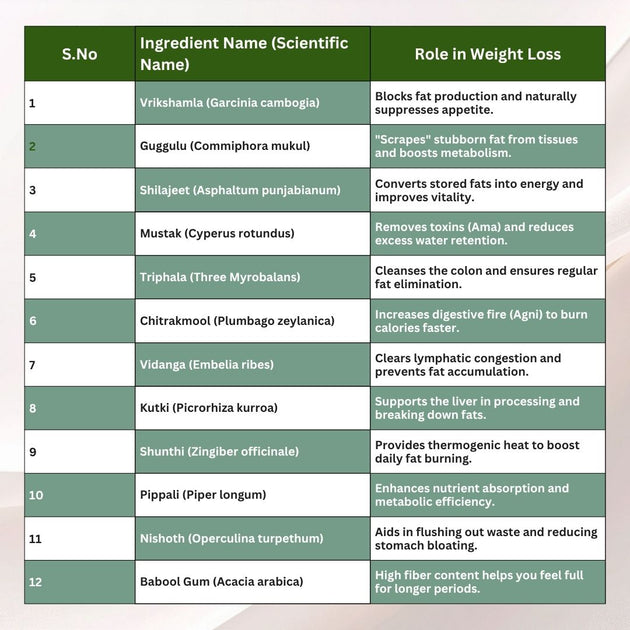 Pangs Cure W+ Capsules ingredients table – 12 Ayurvedic herbs and their role in weight loss