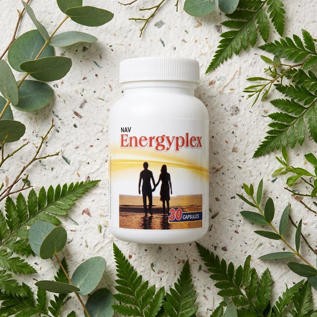 Nav Energyplex - Navchetana Kendra Health Care Pvt Ltd - product_type