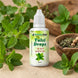 Navchetana Tulsi Drops - Navchetana Kendra Health Care Pvt Ltd - product_type